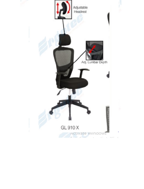 GL 910 X.jpg/