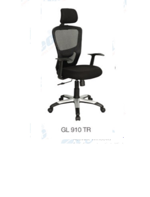 GL 910 TR.jpg/