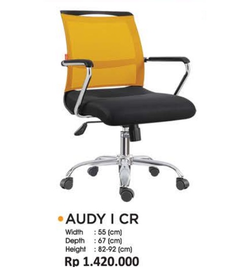 AUDY I CR.jpg/