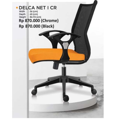 DELCA NET I CR.jpg/