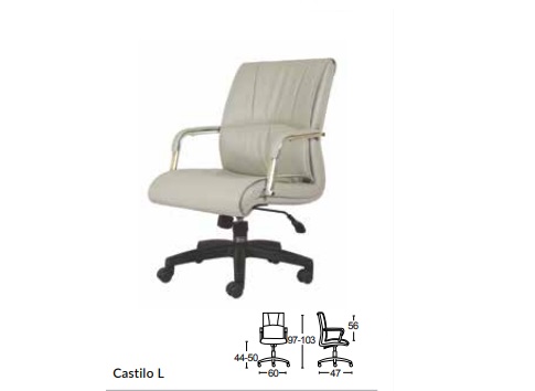 Castilo L.jpg/