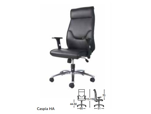 Caspia HA.jpg/