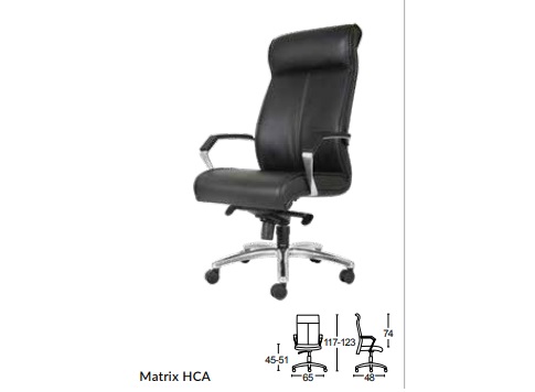 Matrix HCA.jpg/