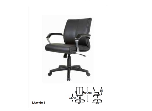 Matrix L.jpg/
