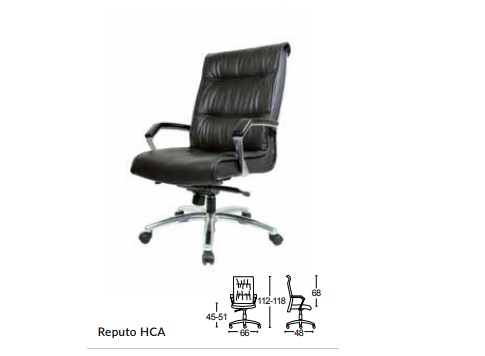 Reputo HCA.jpg/